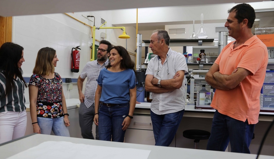 El grupo de investigación de la Universidad de Córdoba ha conseguido mejores característica en el espárrago cultivado gracias a modificaciones en su cromosoma sexual.