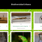 Proyecto Biodiversidad Urbana