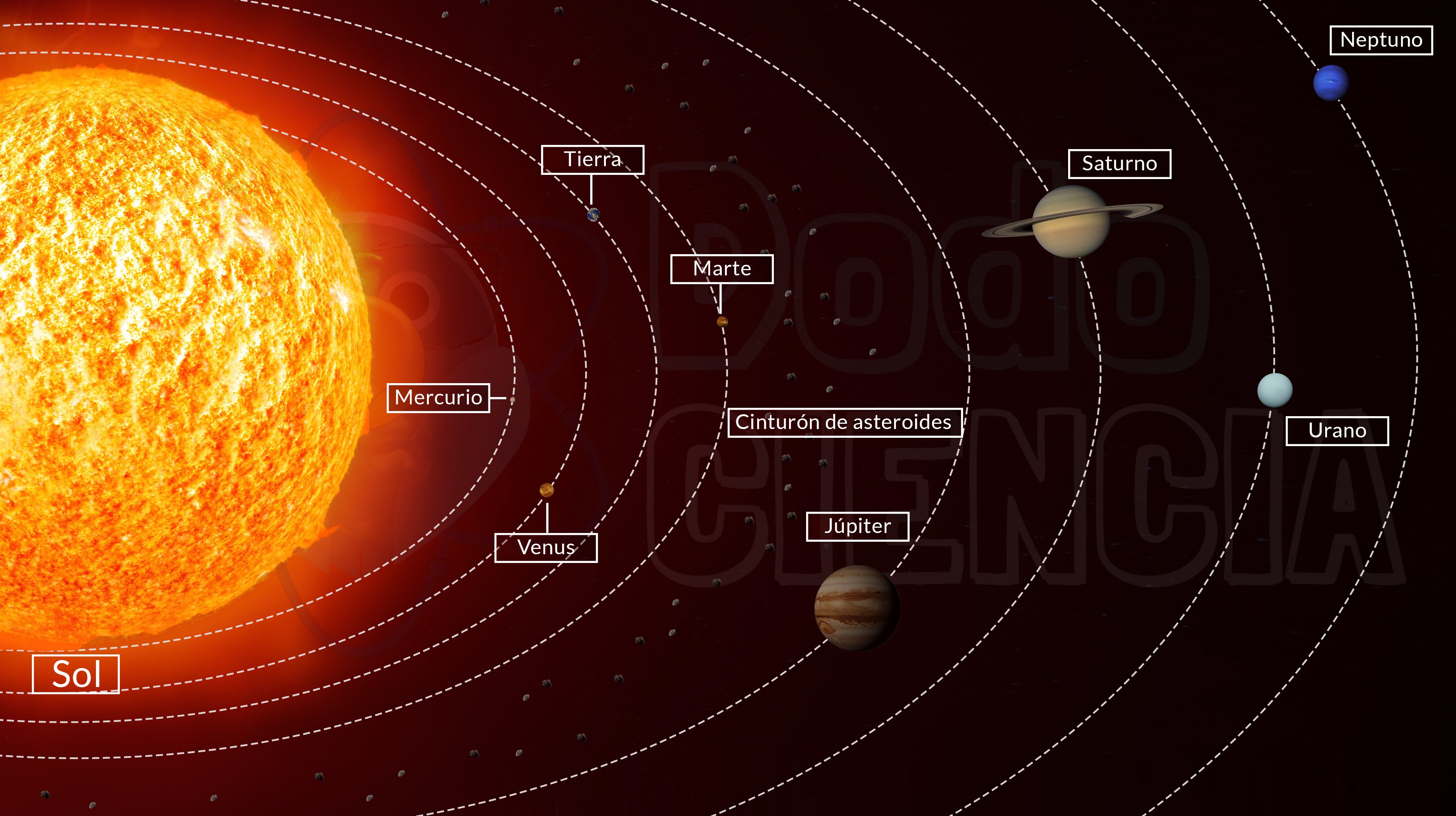 Imagen con los componentes del sistema solar donde se aprecian los planetas y sus órbitas elípticas alrededor del Sol