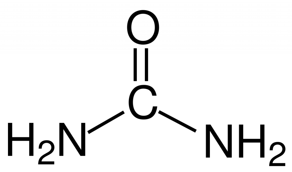 Estructura de la urea