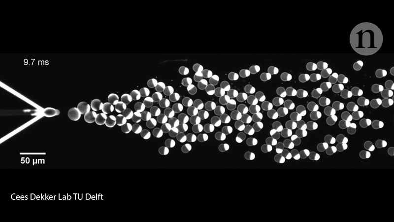 Generación de "células" bottom-up éxitos cientificos 2018