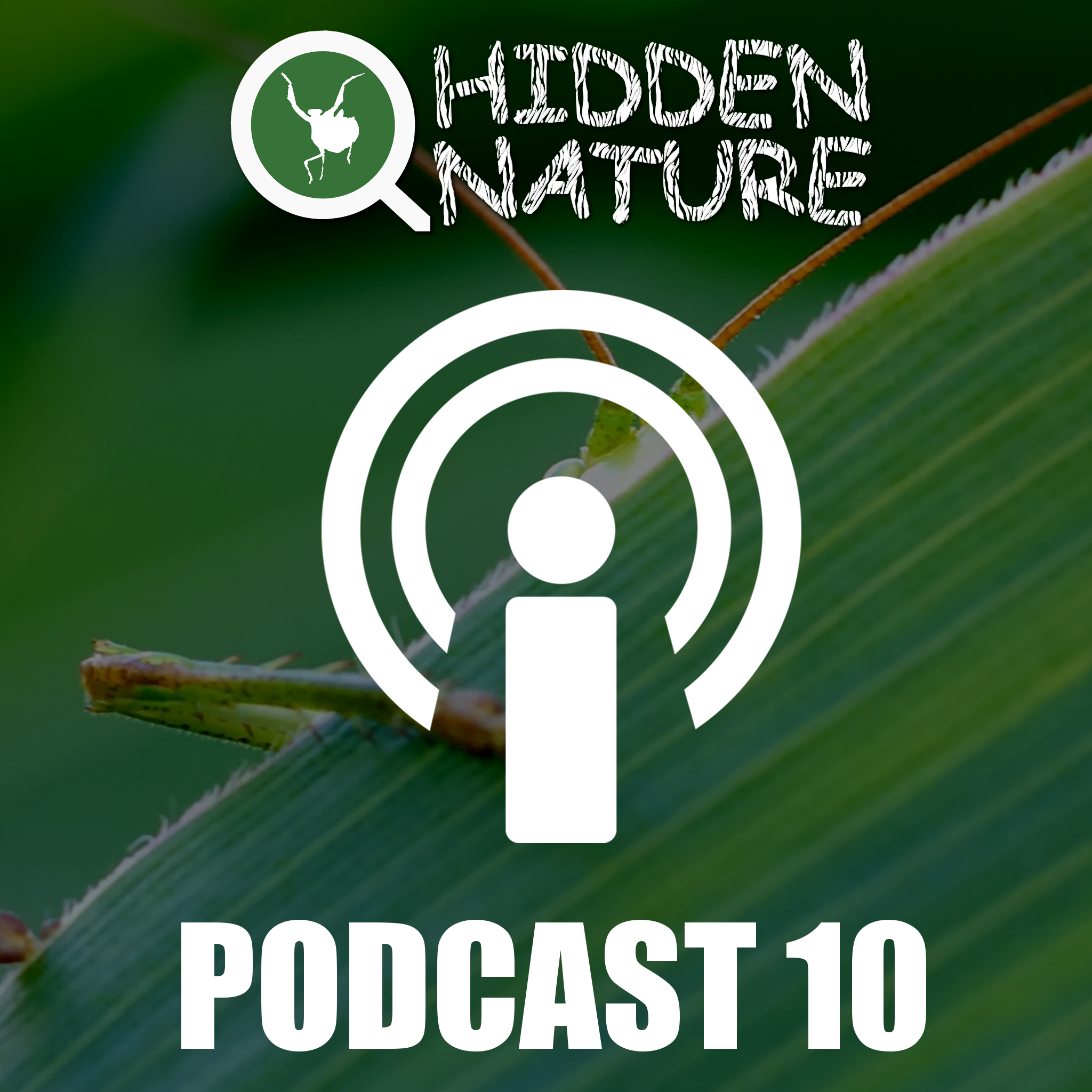 Podcasts Hidden Nature