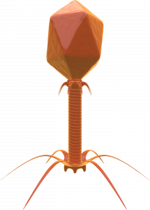 Imagen 3D de un bacteriófago, un tipo de virus