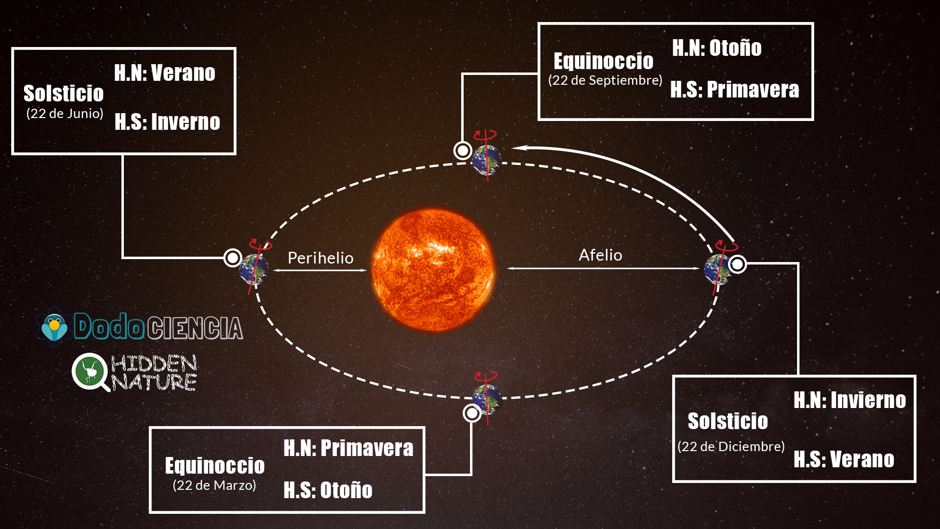 Imagen de la órbita de la Tierra que sigue en el movimiento de traslación alrededor del Sol, indicando sus solsticios y equinoccios; así como el perihelio y el afelio