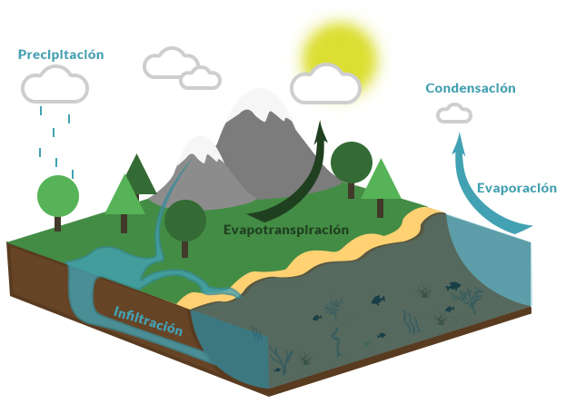 Imagen del ciclo del agua o ciclo hidrológico que sigue la hidrosfera, marcando las diferentes etapas del ciclo del agua