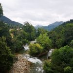 La utilización de bioindicadores para medir el estado de conservación de los ecosistemas fluviales