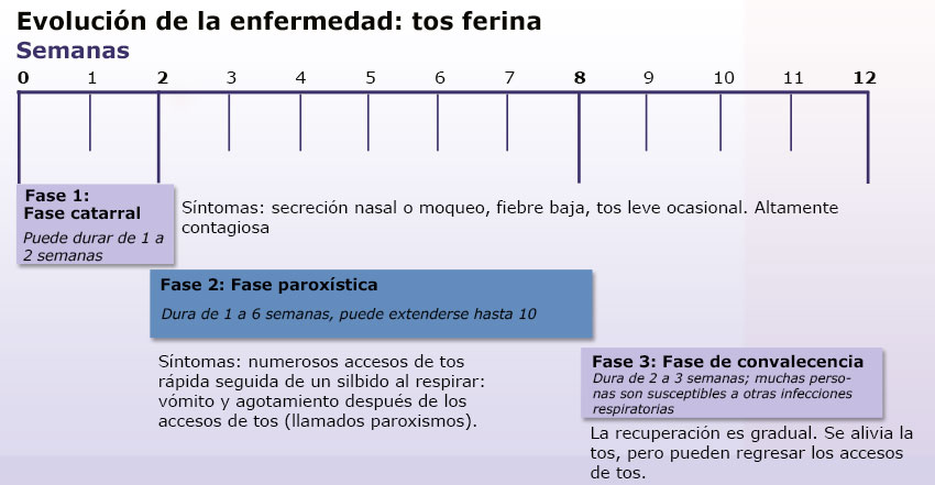 Línea de tiempo de la tos ferina