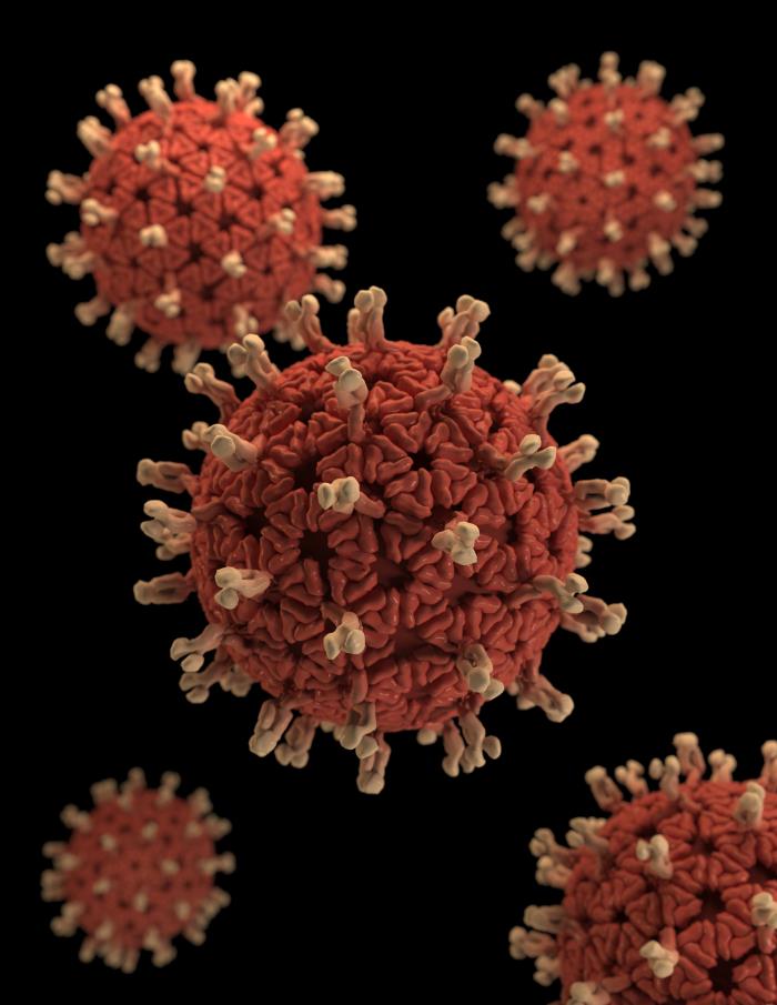 Reconstrucción 3D de un Rotavirus. Realizado por Jessica A. Allen del Centro para el Control y Prevención de Enfermedades.