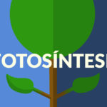 la fotosíntesis video Hidden Nature