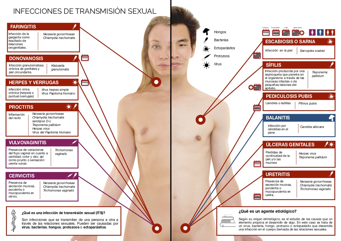 El museo en casa: Infecciones de Transmisión Sexual