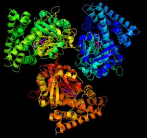 Estructura de la enzima 21-hidroxilasa, que participa en la síntesis de hormonas esteroideas con múltiples funciones biológicas. Se puede apreciar la conformación de 3 unidades proteicas unidas por la partícula central.