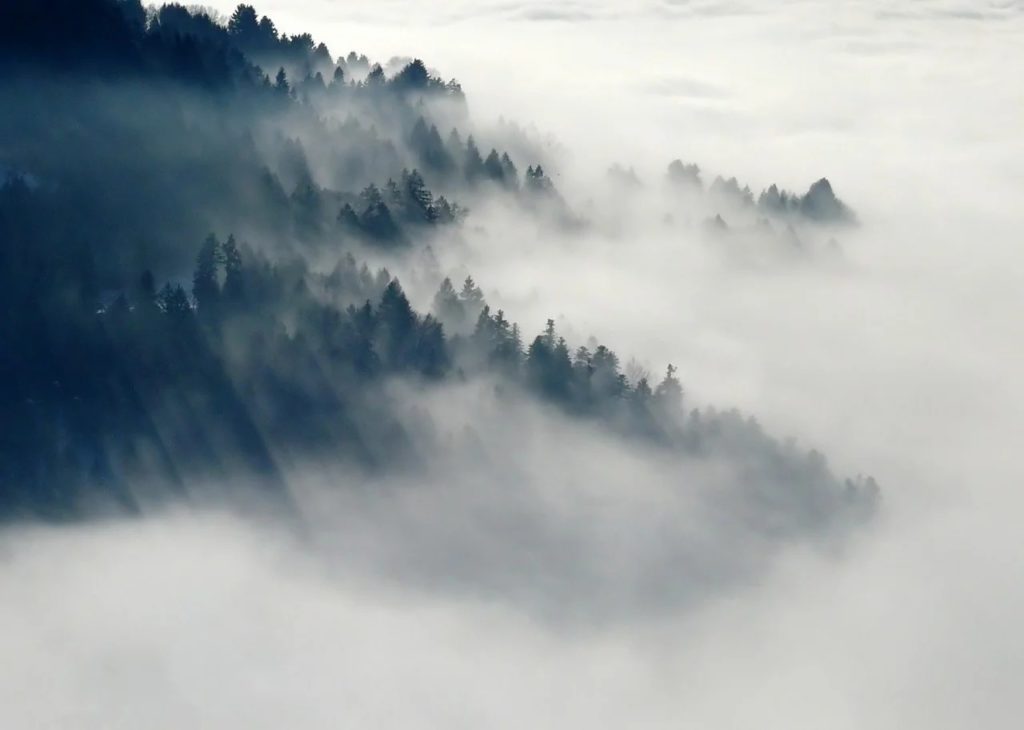 Niebla sobre un valle. Este tipo de niebla se denomina niebla orográfica.