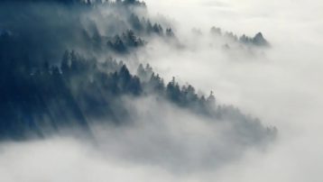 Niebla sobre un valle. Este tipo de niebla se denomina niebla orográfica.