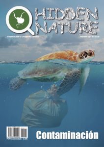 Número 11 HN - Contaminación