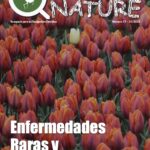 Número 17 Enfermedades raras y Síndromes