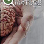 Numero 18 Revista Hidden Nature sobre Neurociencia