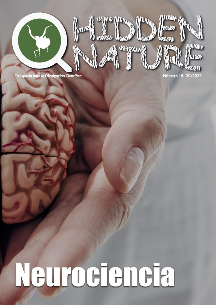 Numero 18 Revista Hidden Nature sobre Neurociencia