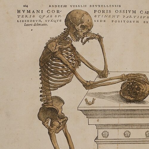 “De humani corporis fabrica” Andreas Vesalius