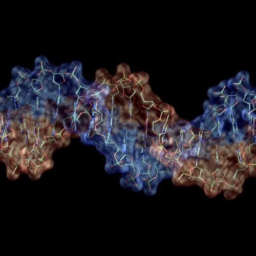 DNA-molecule2