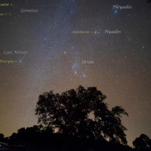 Imagen del cielo nocturno donde se aprecia casi por completo el hexágono de invierno. [Cortesía de Alicia Lozano Fernández]