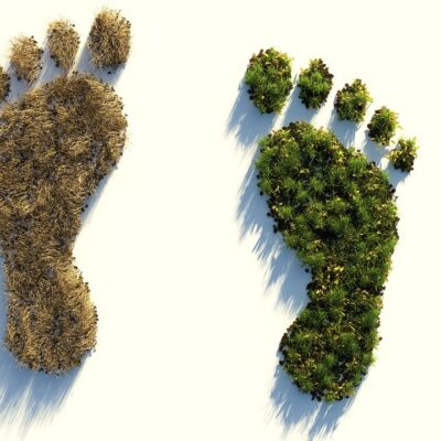 ecological-footprint-4123696_1280