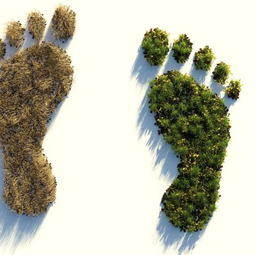 De la palabra inglés "footprint" que significa "huella", el termino "huella ecológica". Con este término se indica nuestro impacto en el planeta Tierra.