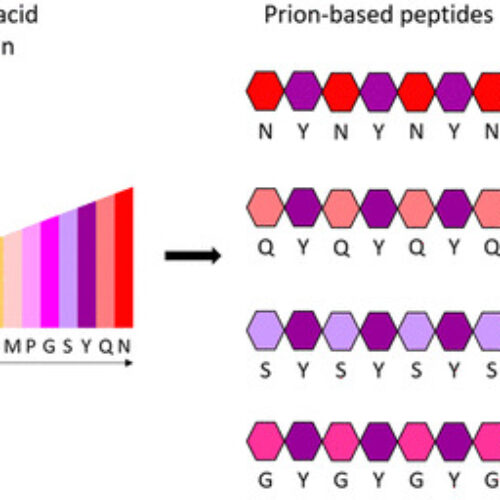 nanomaterial