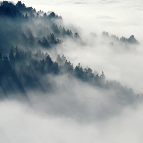 Niebla sobre un valle. Este tipo de niebla se denomina niebla orográfica.