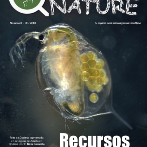 Revista divulgación científica número 3 Hidden Nature: Recursos Hídricos